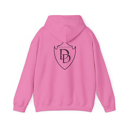 Desert Dawn Shield Design Hooded Sweatshirt